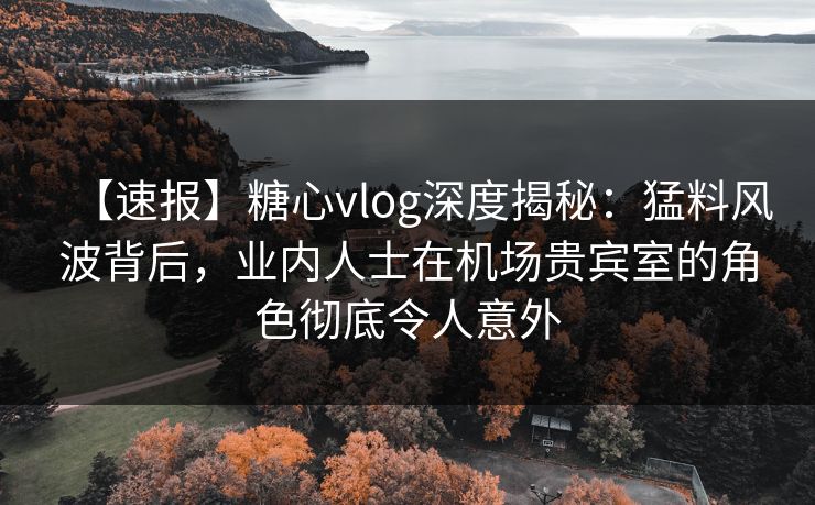 【速报】糖心vlog深度揭秘：猛料风波背后，业内人士在机场贵宾室的角色彻底令人意外