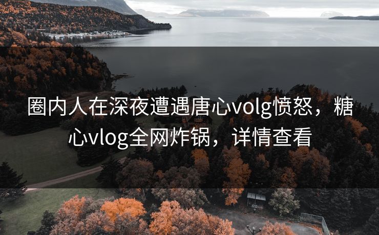 圈内人在深夜遭遇唐心volg愤怒,糖心vlog全网炸锅,详情查看 圈内人在深夜遭遇唐心volg愤怒,糖心vlog全网炸锅,详情查看