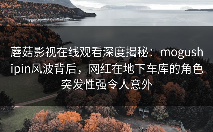 蘑菇影视在线观看深度揭秘：mogushipin风波背后，网红在地下车库的角色突发性强令人意外